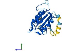 AlphaFold protein structure predicition of Human Recombinant SAR1A Protein, UniprotID Q9NR31 (SAR1A Protein (AA 1-198) (His tag))