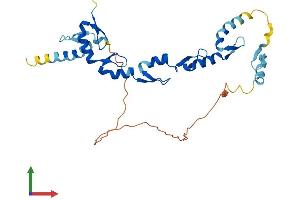AlphaFold protein structure predicition of Human Recombinant XAF1 Protein, UniprotID Q6GPH4 (XAF1 Protein (AA 1-301) (His tag))