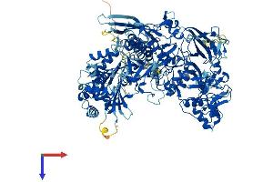 AlphaFold protein structure predicition of Mouse Recombinant Polr2b Protein, UniprotID Q8CFI7