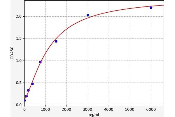 WISP3 ELISA Kit