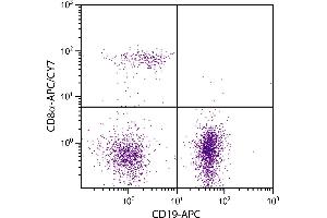 BALB/c mouse splenocytes were stained with Rat Anti-Mouse CD8α-APC/CY7. (CD8 alpha antibody  (APC-Cy7))