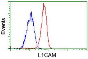 Flow cytometric Analysis of Jurkat cells, using anti-L1CAM antibody (ABIN2453219), (Red), compared to a nonspecific negative control antibody (ABIN2453219), (Blue). (L1CAM antibody)