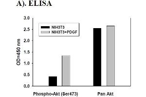 Image no. 2 for V-Akt Murine Thymoma Viral Oncogene Homolog 1 (AKT1) ELISA Kit (ABIN625220) (AKT1 ELISA Kit)
