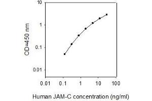 JAM3 ELISA Kit