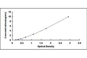 Typical standard curve (EPB42 ELISA Kit)