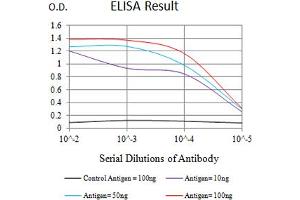 Black line: Control Antigen (100 ng),Purple line: Antigen (10 ng), Blue line: Antigen (50 ng), Red line:Antigen (100 ng) (DC-SIGN/CD209 antibody  (AA 270-404))