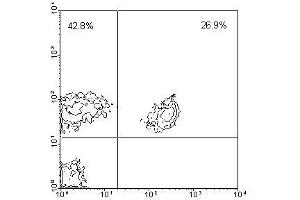 Image no. 1 for anti-CD3 (CD3) antibody (PE) (ABIN135507) (CD3 antibody  (PE))