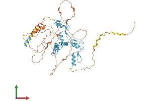 AlphaFold protein structure predicition of Mouse Recombinant Fezf1 Protein, UniprotID Q0VDQ9 (FEZF1 Protein (AA 1-475) (His tag))