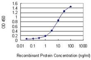 Detection limit for recombinant GST tagged ARHGEF10 is 0. (ARHGEF10 antibody  (AA 792-890))
