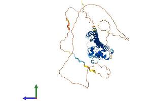 AlphaFold protein structure predicition of Mouse Recombinant Tfap2e Protein, UniprotID Q6VUP9