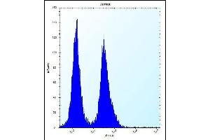 SNIP1 Antibody (N-term) (ABIN656183 and ABIN2845511) flow cytometric analysis of Jurkat cells (right histogram) compared to a negative control cell (left histogram). (SNIP1 antibody  (N-Term))