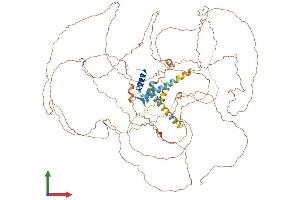 AlphaFold protein structure predicition of Human Recombinant TCHHL1 Protein, UniprotID Q5QJ38 (TCHHL1 Protein (AA 1-904) (His tag))