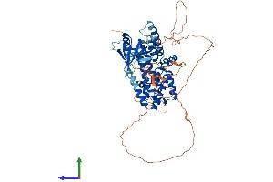 AlphaFold protein structure predicition of Human Recombinant RALGPS2 Protein, UniprotID Q86X27