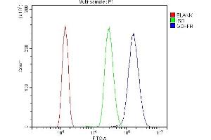 Flow Cytometry analysis of HL-60 cells using anti-GCHFR antibody (ABIN7600511). (GCHFR antibody  (AA 2-84))
