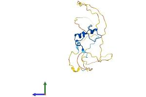 AlphaFold protein structure predicition of Human Recombinant CXXC4 Protein, UniprotID Q9H2H0