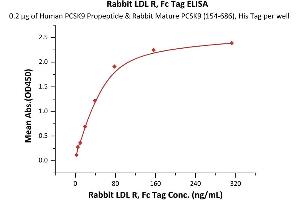 Immobilized Human PCSK9 Propeptide & Rabbit Mature PCSK9 (154-686), His Tag (ABIN6973190) at 2 μg/mL (100 μL/well) can bind Rabbit LDL R, Fc Tag (ABIN6973143) with a linear range of 2-78 ng/mL (QC tested). (LDLR Protein (AA 9-765) (Fc Tag))