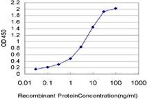 Detection limit for recombinant GST tagged THUMPD1 is approximately 0. (THUMPD1 antibody  (AA 1-353))