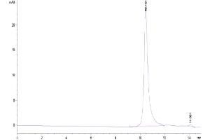 The purity of Human FAM19A5 is greater than 95 % as determined by SEC-HPLC. (FAM19A5 Protein (AA 37-125) (His tag))