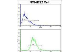 Flow cytometric analysis of NCI-H292 cells using EEF1A1 Antibody (bottom histogram) compared to a negative control cell (top histogram).