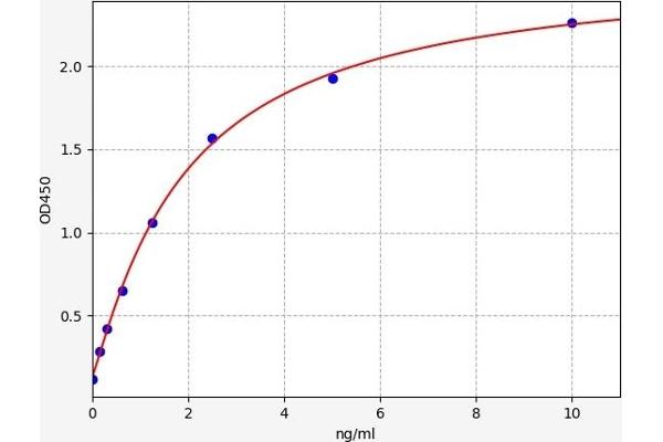 Aromatase ELISA Kit