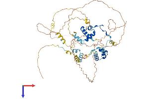 MIER3 Protein (AA 1-551) (His tag)