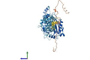 AlphaFold protein structure predicition of Human Recombinant LPCAT2 Protein, UniprotID Q7L5N7