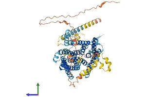 AlphaFold protein structure predicition of Human Recombinant SLC9A9 Protein, UniprotID Q8IVB4