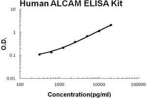 Human ALCAM Accusignal ELISA Kit Human ALCAM AccuSignal ELISA Kit standard curve. (CD166 ELISA Kit)