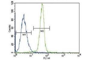 Leptin Receptor antibody flow cytometric analysis of K562 cells (green) compared to a negative control (blue). (Leptin Receptor antibody  (AA 23-52))