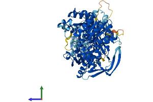 AlphaFold protein structure predicition of Mouse Recombinant Carns1 Protein, UniprotID Q6ZPS2 (CARNS1 Protein (AA 1-827) (His tag))