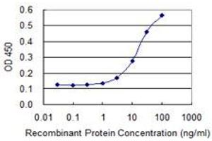 Detection limit for recombinant GST tagged CTSE is 1 ng/ml as a capture antibody. (Cathepsin E antibody  (AA 18-396))