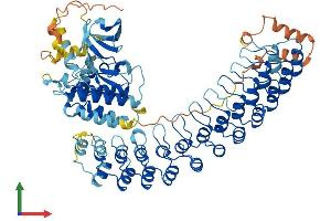 AlphaFold protein structure predicition of Mouse Recombinant Ankk1 Protein, UniprotID Q8BZ25 (ANKK1 Protein (AA 1-745) (His tag))