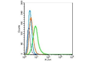 RSC96 cells probed with	PCDH20 Polyclonal Antibody, Unconjugated  at 1:100 for 30 minutes followed by incubation with a conjugated secondary (PE Conjugated) (green) for 30 minutes compared to control cells (blue), secondary only (light blue) and isotype control (orange). (PCDH20 antibody  (AA 611-710))