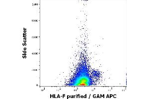 HLA-F antibody