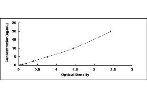 Typical standard curve (R-Spondin 3 ELISA Kit)