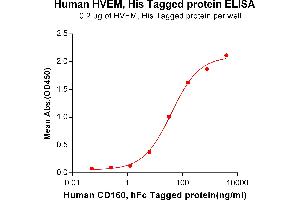 ELISA plate pre-coated by 2 μg/mL (100 μL/well) Human HVEM, His tagged protein (ABIN6964089) can bind Human CD160,hFc tagged protein (ABIN6964110) in a linear range of 1.