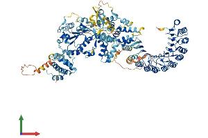AlphaFold protein structure predicition of Human Recombinant NLRP3 Protein, UniprotID Q96P20 (NLRP3 Protein (AA 1-1036) (His tag))