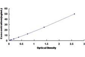 Typical standard curve (DIO2 ELISA Kit)