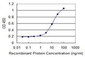 Detection limit for recombinant GST tagged ASXL1 is 0. (ASXL1 antibody  (AA 1-84))