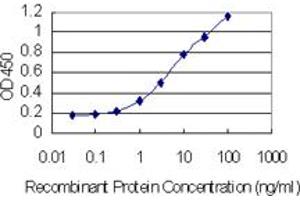 Detection limit for recombinant GST tagged RNASEH2C is 0. (RNASEH2C antibody  (AA 1-164))