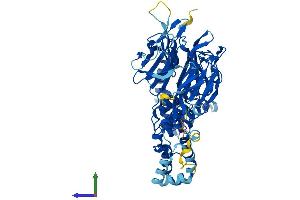 AlphaFold protein structure predicition of Mouse Recombinant Gan Protein, UniprotID Q8CA72