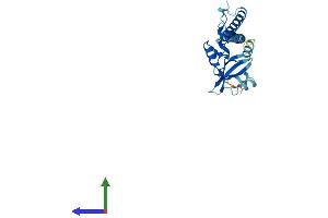 AlphaFold protein structure predicition of Mouse Recombinant Clec12b Protein, UniprotID Q149M0