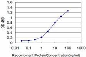 Detection limit for recombinant GST tagged FLT4 is approximately 0. (FLT4 antibody  (AA 34-133))
