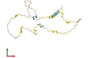 AlphaFold protein structure predicition of Human Recombinant MAP6D1 Protein, UniprotID Q9H9H5