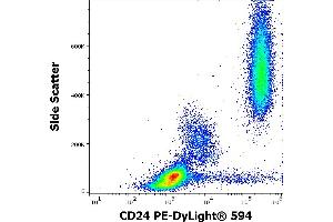 Flow cytometry surface staining pattern of human peripheral whole blood stained using anti-human CD24 (SN3) PE-DyLight® 594 antibody (4 μL reagent / 100 μL of peripheral whole blood). (CD24 antibody  (PE-DyLight 594))