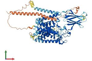 AlphaFold protein structure predicition of Human Recombinant HGSNAT Protein, UniprotID Q68CP4