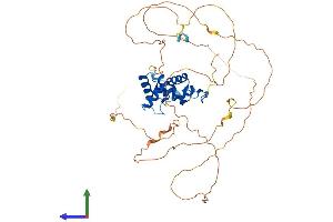 Protein Structure (PS) image for Paired Box 8 (PAX8) (AA 1-457) protein (His tag) (ABIN7556849)