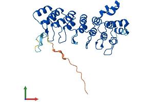 AlphaFold protein structure predicition of Human Recombinant ASB9 Protein, UniprotID Q96DX5