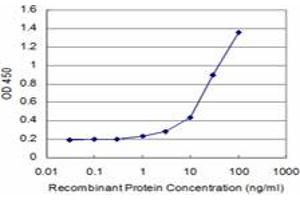 Detection limit for recombinant GST tagged SMG1 is approximately 1ng/ml as a capture antibody. (SMG1 antibody  (AA 2922-3031))