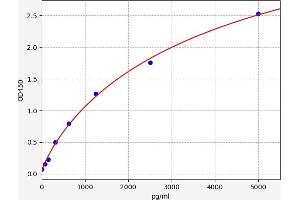 Typical standard curve (CLN3 ELISA Kit)